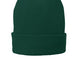 Port Authority CP90L Athletic Green - color Product Image