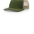 Army Olive Tan